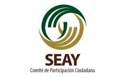 Informe de actividades abril / junio de 2019