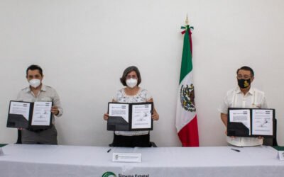 SESEAY Inicio SEAY  Comunicados  Transparencia  Nuestro Trabajo  Orientación Jurídica Integridad Repositorio Municipal FIRMA DE CONVENIO DE COLABORACIÓN ENTRE EL INSTITUTO PARA EL DESARROLLO DE LA CULTURA MAYA DEL ESTADO DE YUCATÁN (INDEMAYA) Y LA SESEAY